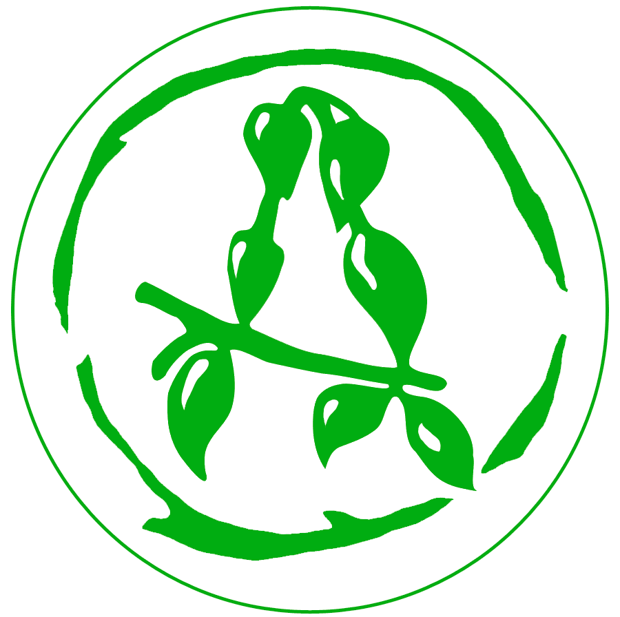 Acidica Perfumes fragrance brand logo