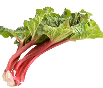 Rhubarb