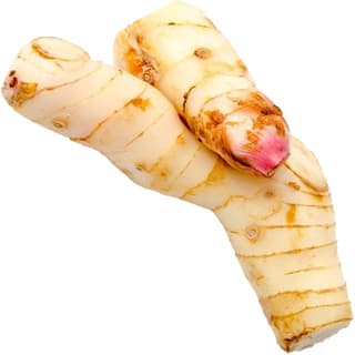 Galangal CO2