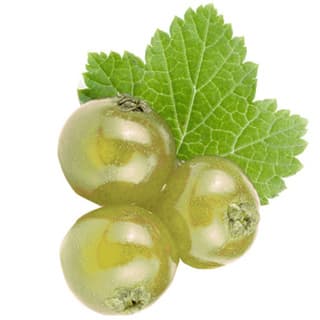 Green currant