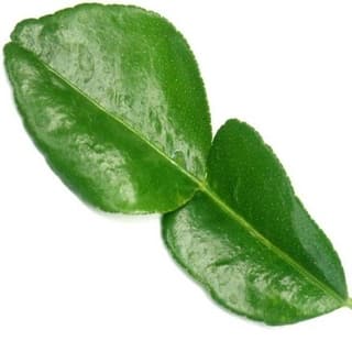 Kaffir lime leaf