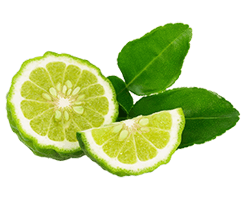 Sicilian bergamot