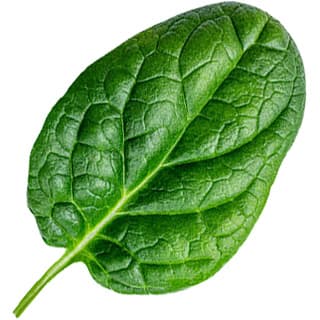 Spinach