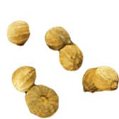 Coriander seed Orpur®