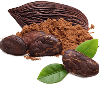 Cocoa powder