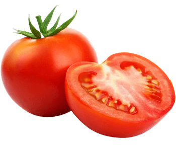 Tomato