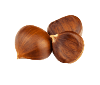 Chestnut