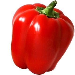 Bell pepper absolute