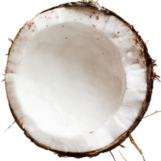 Caribbean coconut
