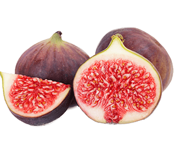 Fig