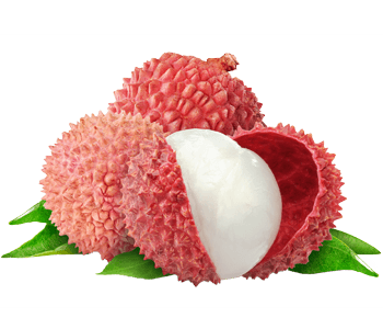 Litchi