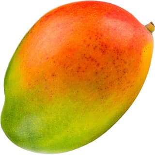 Mango absolute