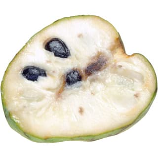 Jamaican cherimoya