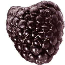 Black raspberry