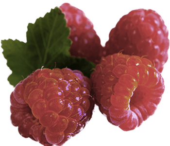 Raspberry