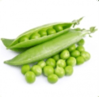 Pea