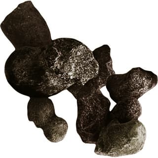 Black frankincense absolute