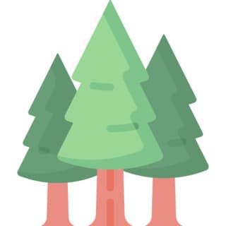 Trees