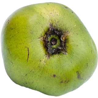 Sapote