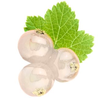 White currant