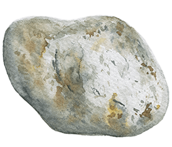 Ambergris