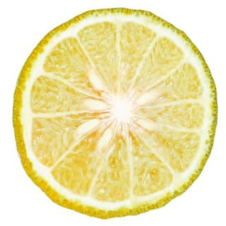 Yellow bergamot