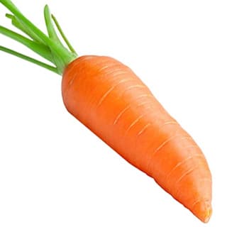 Carrot