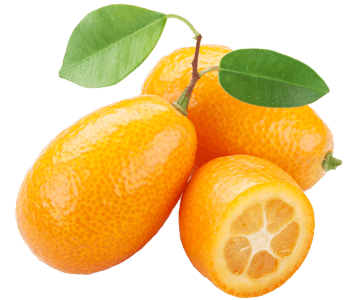 Kumquat