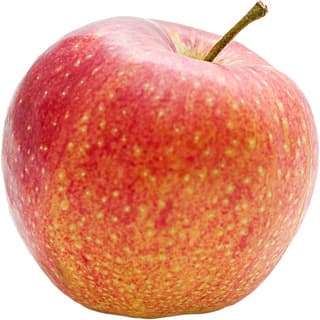 McIntosh apple