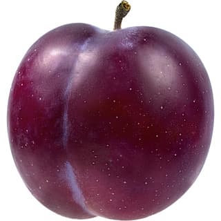 Italian plum