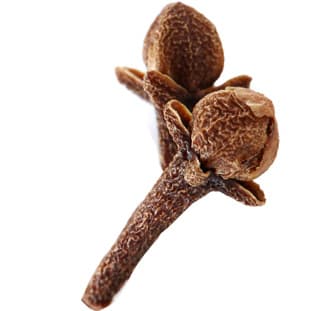 Clove absolute