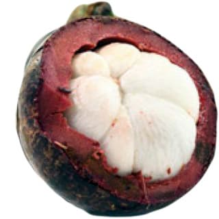 Mangosteen