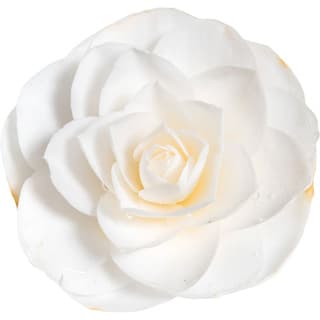 White camellia