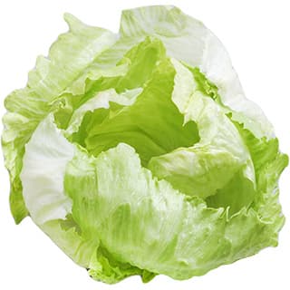 Lettuce