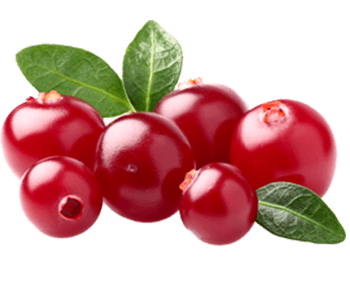 Cranberry