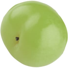 Greengage plum