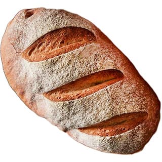 Bread