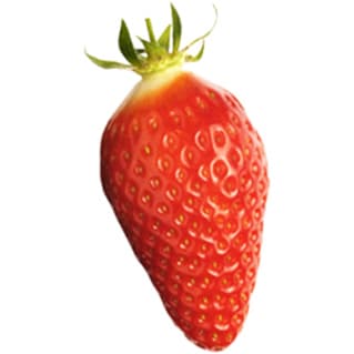 Gariguette strawberry