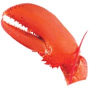 Lobster