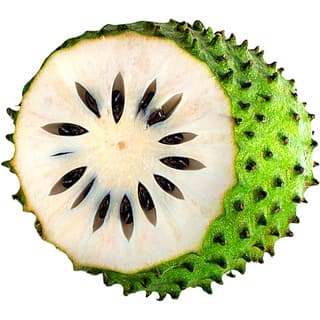 Soursop