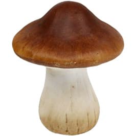 Cep