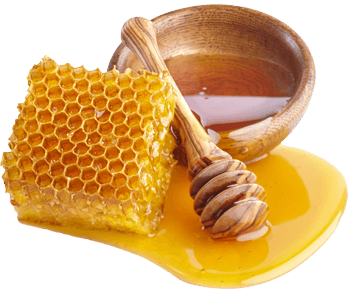 Honeycomb absolute
