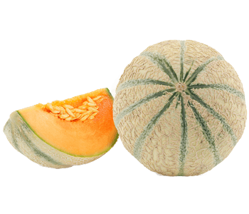 Melon