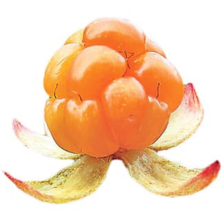 Cloudberry