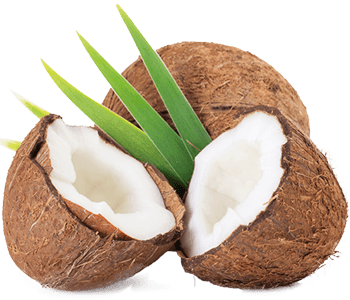 Coconut