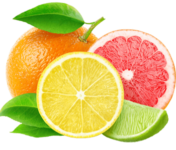 Citrus