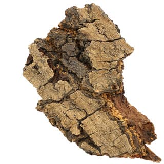 Massoia bark