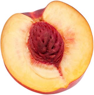 Provençal nectarine