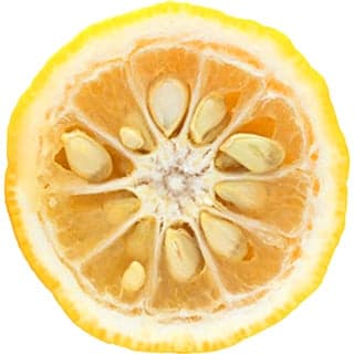 Japanese yuzu