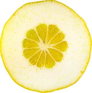 Italian citron